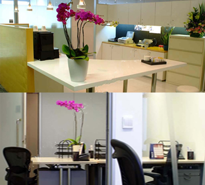 Featured Property Image