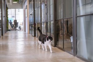 Metropolitan Workspace – Serviced Offices & Coworking at Remex Centre, Wong Chuk Hang